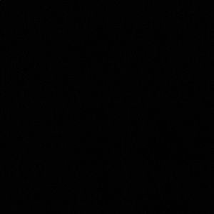 Meet your Posher, Cheyenne